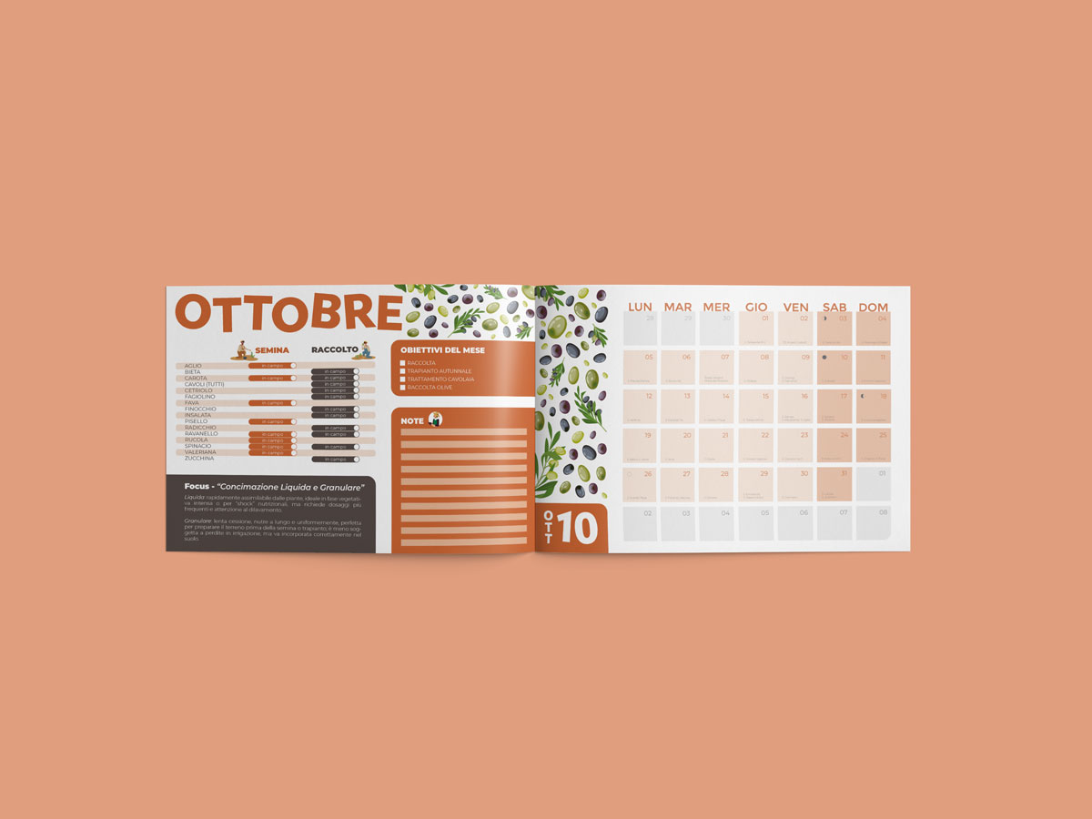 Apertura di ottobre, con le illustrazioni di olive e la palette marrone del mese